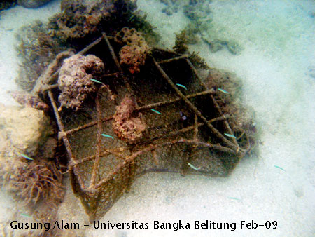 Foto Bubu yang digunakan oleh nelayan untuk menangkap ikan. Ditemukan disekitar terumbu karang Pulau Gusung Asam