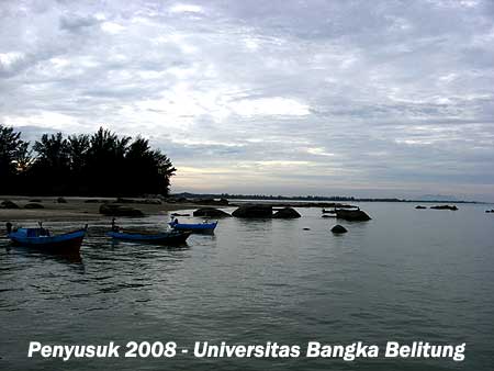 Terumbu Karang di Pantai Penyusuk Bangka Belitung