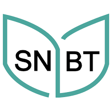 Logo SNBT