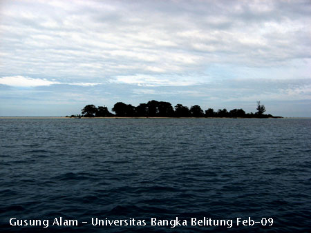Foto pesona ekosistem terumbu karang (coral reef) di Pulau Gusung Alam
