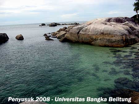 Terumbu Karang di Pantai Penyusuk Bangka Belitung