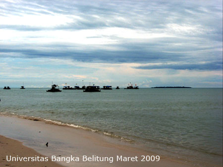 Foto TI Apung yang terdapat di daerah Tanjung Gunung kecamatan Pangkalan Baru Kabupaten Bangka Tengah berlatarkan Pulau Panjang, Tim Ekspedisi terumbu Karang UBB Maret 2009