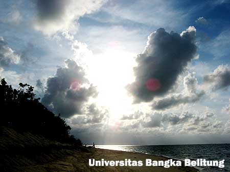 Eksotisme Terumbu Karang di Pulau Semujur Bangka Belitung