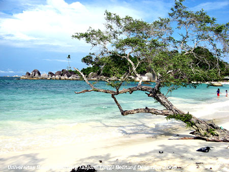 Pantai Tanjung Tinggi Belitung Provinsi Kepulauan Bangka Belitung